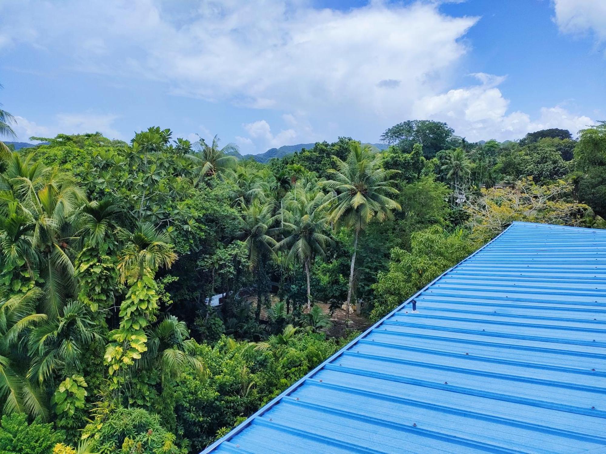 Garden Palace Downtown Koror Exterior foto